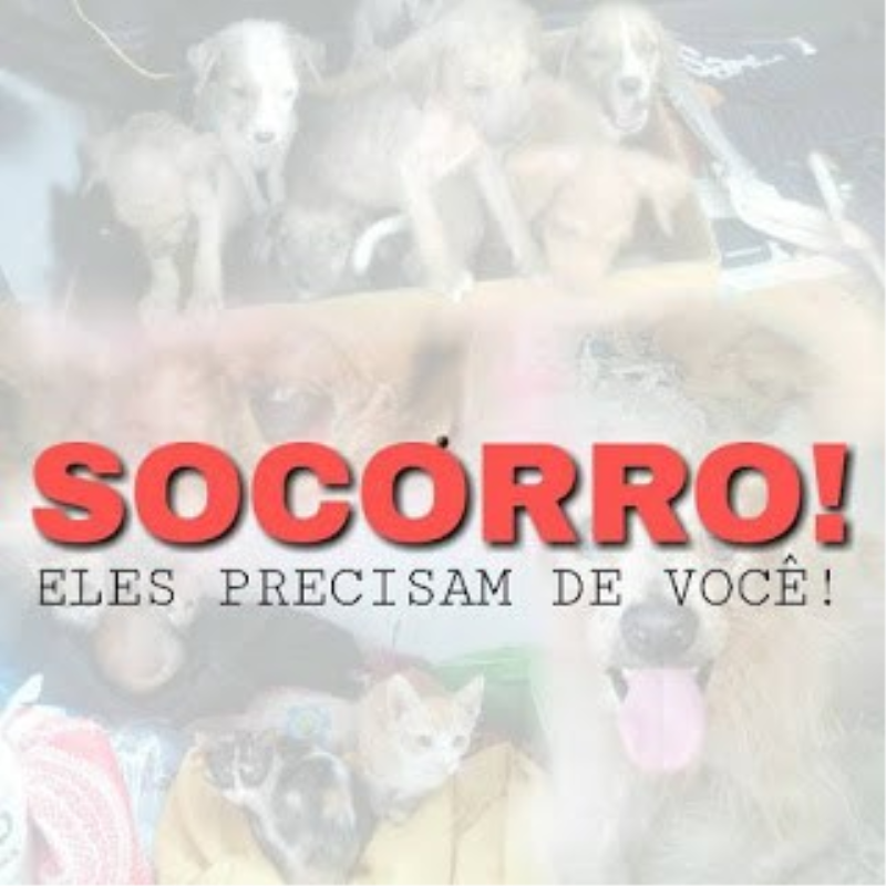 Projeto criado pela veterinária Gabriela