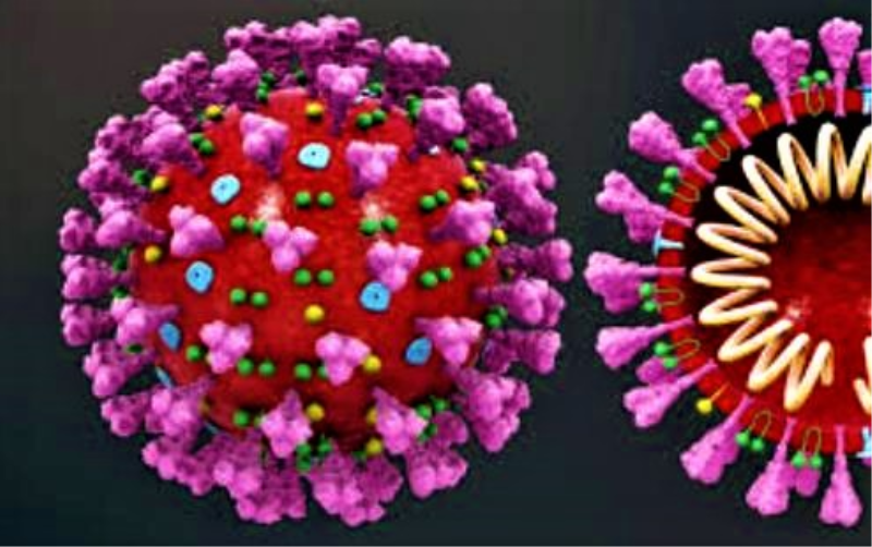 PREVENÇÃO À PANDEMIA