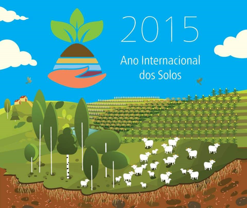 Diversas atividades devem marcar o Ano Internacional do Solo