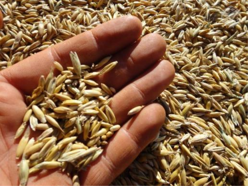 Avisos da Secretaria da Agricultura