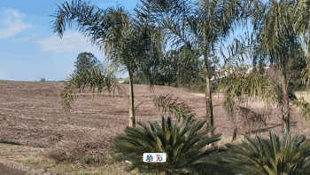 <p>𝗗𝗘𝗦𝗧𝗜𝗡𝗔𝗗𝗔&nbsp;𝗔́𝗥𝗘𝗔 𝗗𝗔 𝗠𝗜𝗧𝗥𝗔&nbsp;</p>