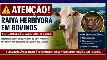 𝗣𝗿𝗲𝗼𝗰𝘂𝗽𝗮𝗰̧𝗮̀𝗼 𝗰𝗼𝗺 𝗰𝗮𝘀𝗼𝘀 𝗱𝗲 𝗿𝗮𝗶𝘃𝗮 𝗯𝗼𝘃𝗶𝗻𝗮 𝗻𝗮 𝗿𝗲𝗴𝗶𝗮̃𝗼