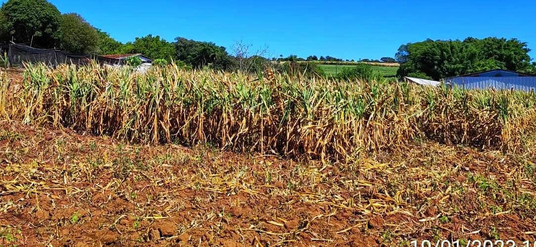SITUAÇÃO DE EMERGÊNCIA