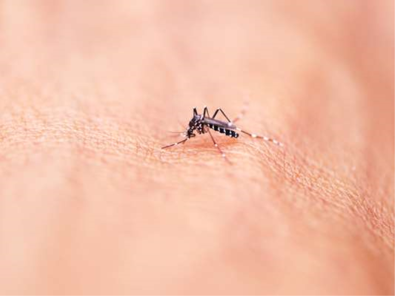 SEMANA DE LIMPEZA E PREVENÇÃO