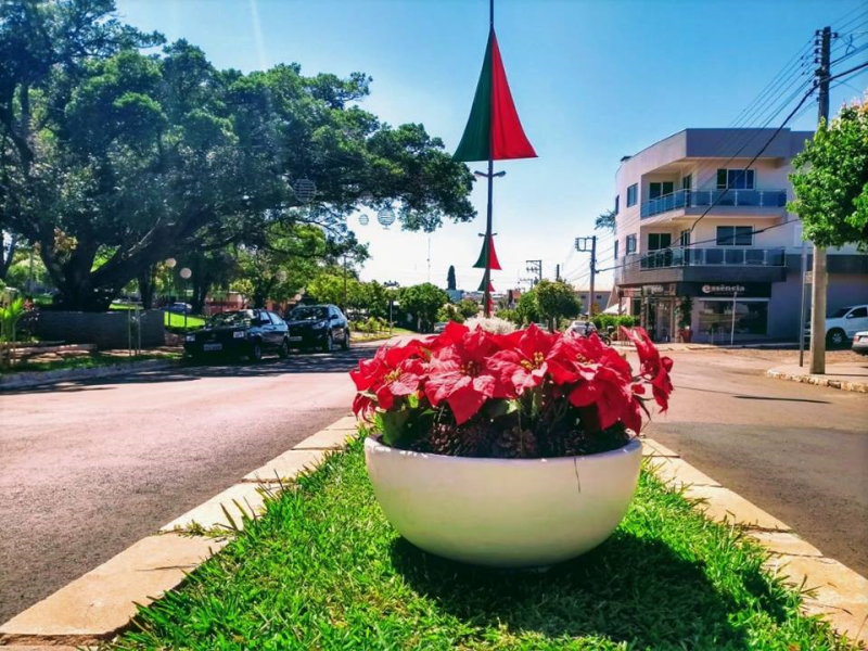 DECORAÇÃO NATALINA 
