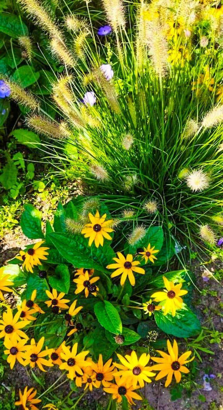 CONCURSO DE JARDINS
