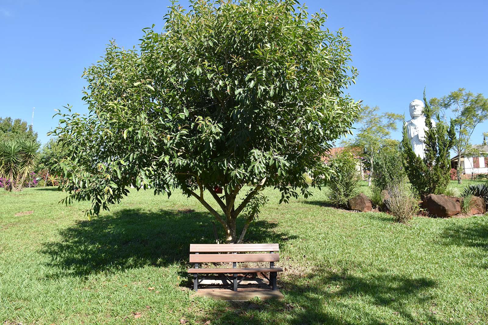 Centro Germânico Missioneiro