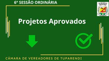 <p>6&ordf; SESS&Atilde;O ORDIN&Aacute;RIA</p>