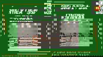 <p>S&Iacute;NTESE DA 7&ordf; SESS&Atilde;O EXTRAORDIN&Aacute;RIA</p>