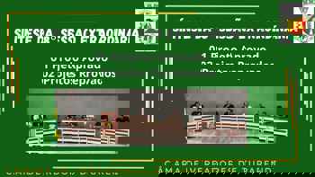 <p>S&Iacute;NTESE DA 8&ordf; SESS&Atilde;O EXTRAORDIN&Aacute;RIA</p>