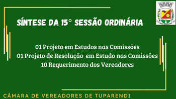 <p>S&Iacute;NTESE DA 15&ordf; SESS&Atilde;O ORDIN&Aacute;RIA</p>
