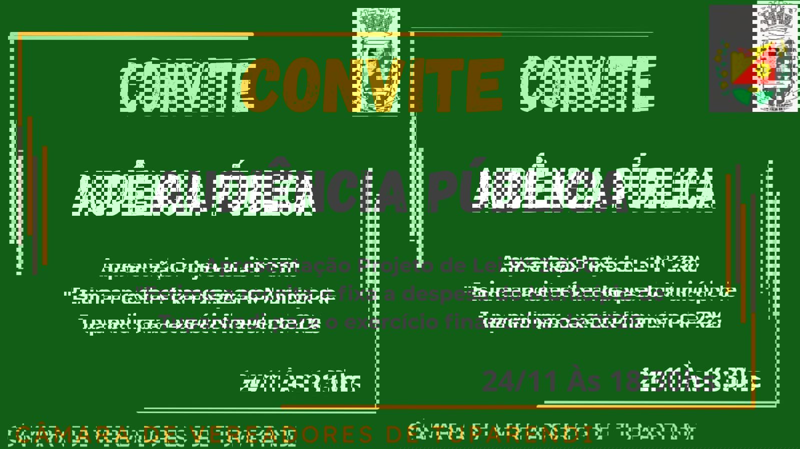 <p>AUDI&Ecirc;NCIA P&Uacute;BLICA</p>