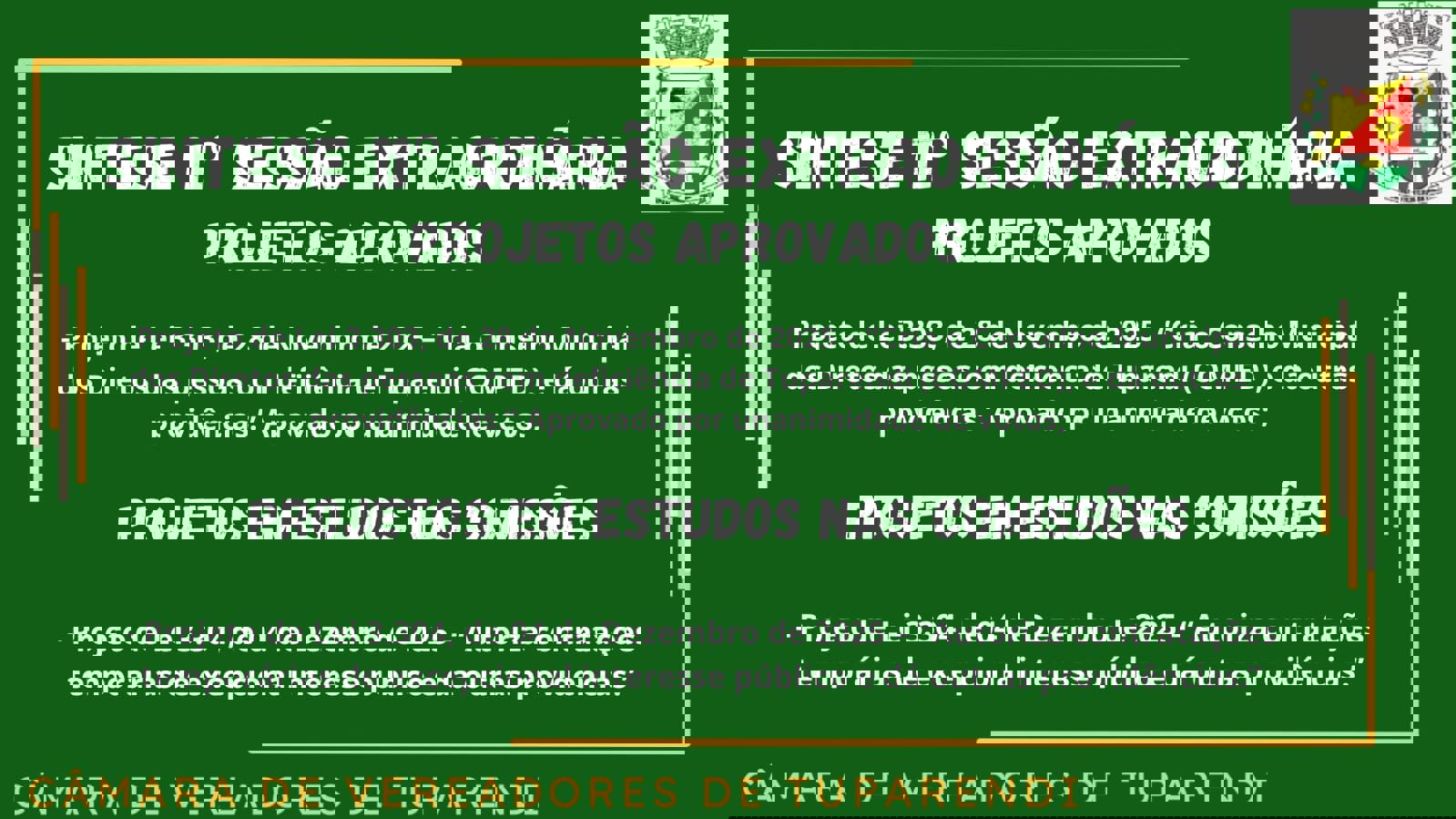 <p>S&Iacute;NTESE DA 11&ordf; SESS&Atilde;O EXTRAORDIN&Aacute;RIA</p>