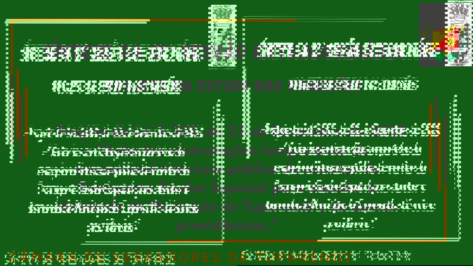 <p>S&Iacute;NTESE DA 12&ordf; SESS&Atilde;O EXTRAORDN&Aacute;RIA</p>