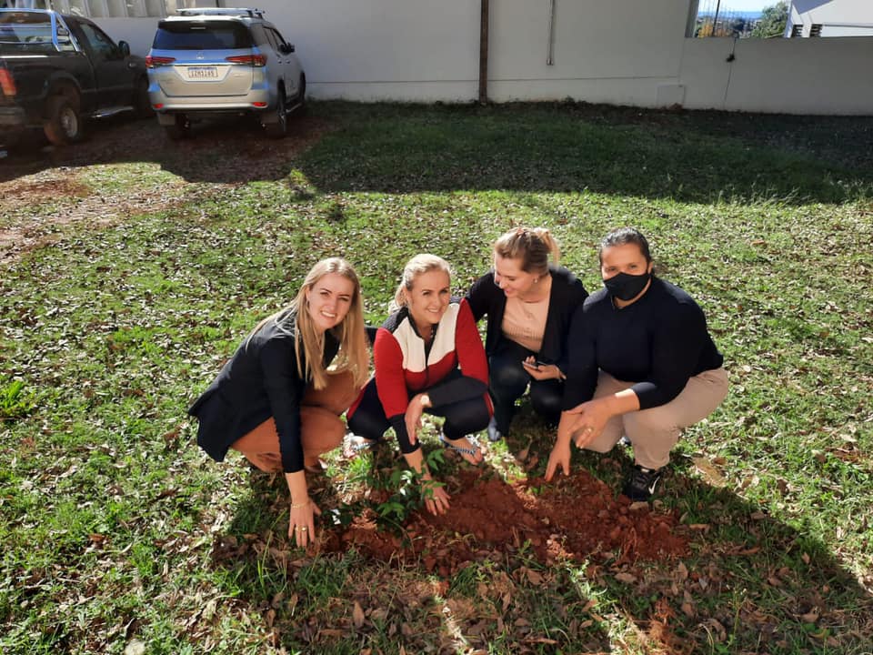 AÇÃO COMEMORATIVA A SEMANA DO MEIO AMBIENTE 