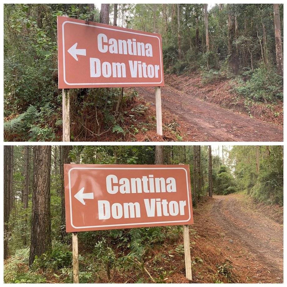Imagens publicadas