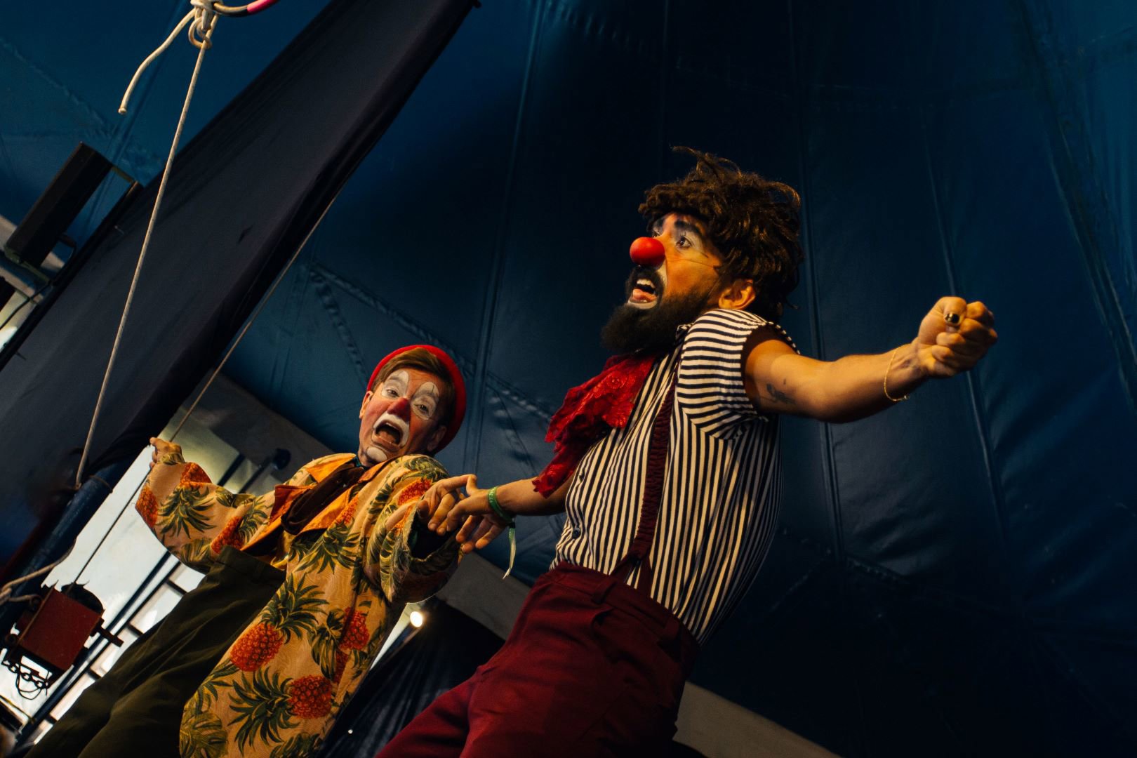 XXXI Festivale - 2024