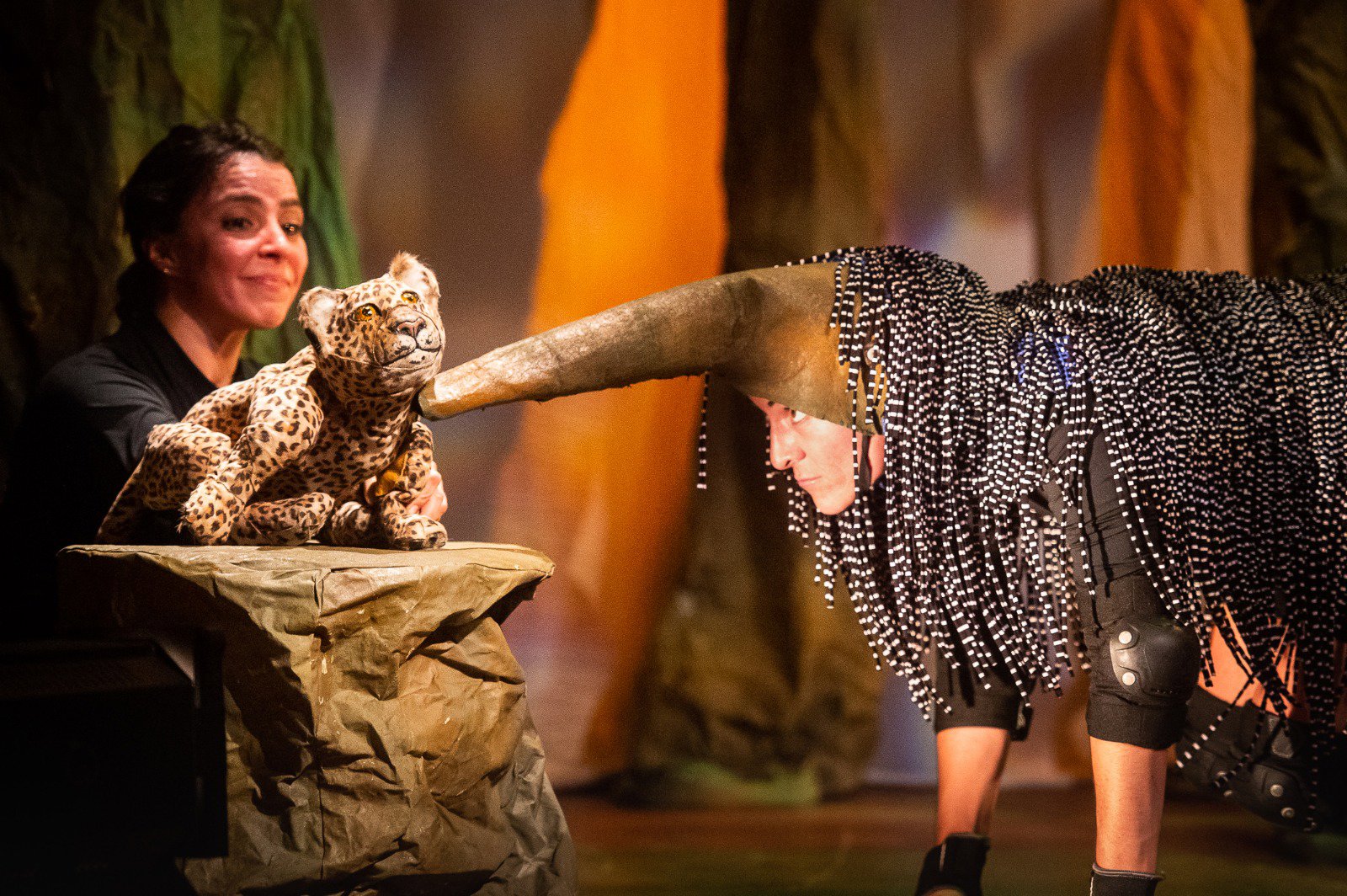 XXXI Festivale - 2024