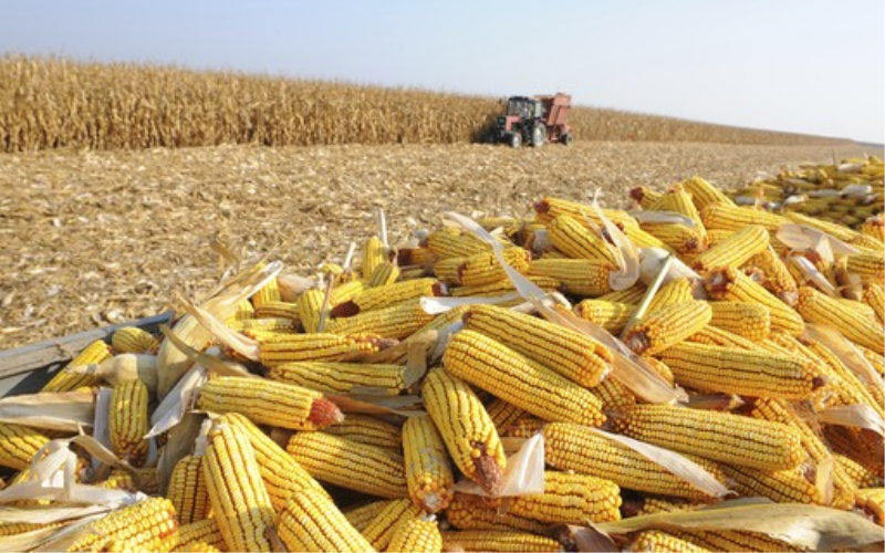 SECRETARIA DE AGRICULTURA RECEBE INSCRIÇÕES DO PROGRAMA TROCA-TROCA
