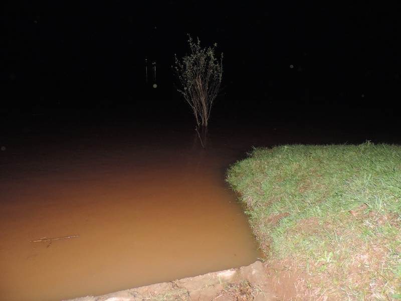 Informações do nível do Rio Uruguai