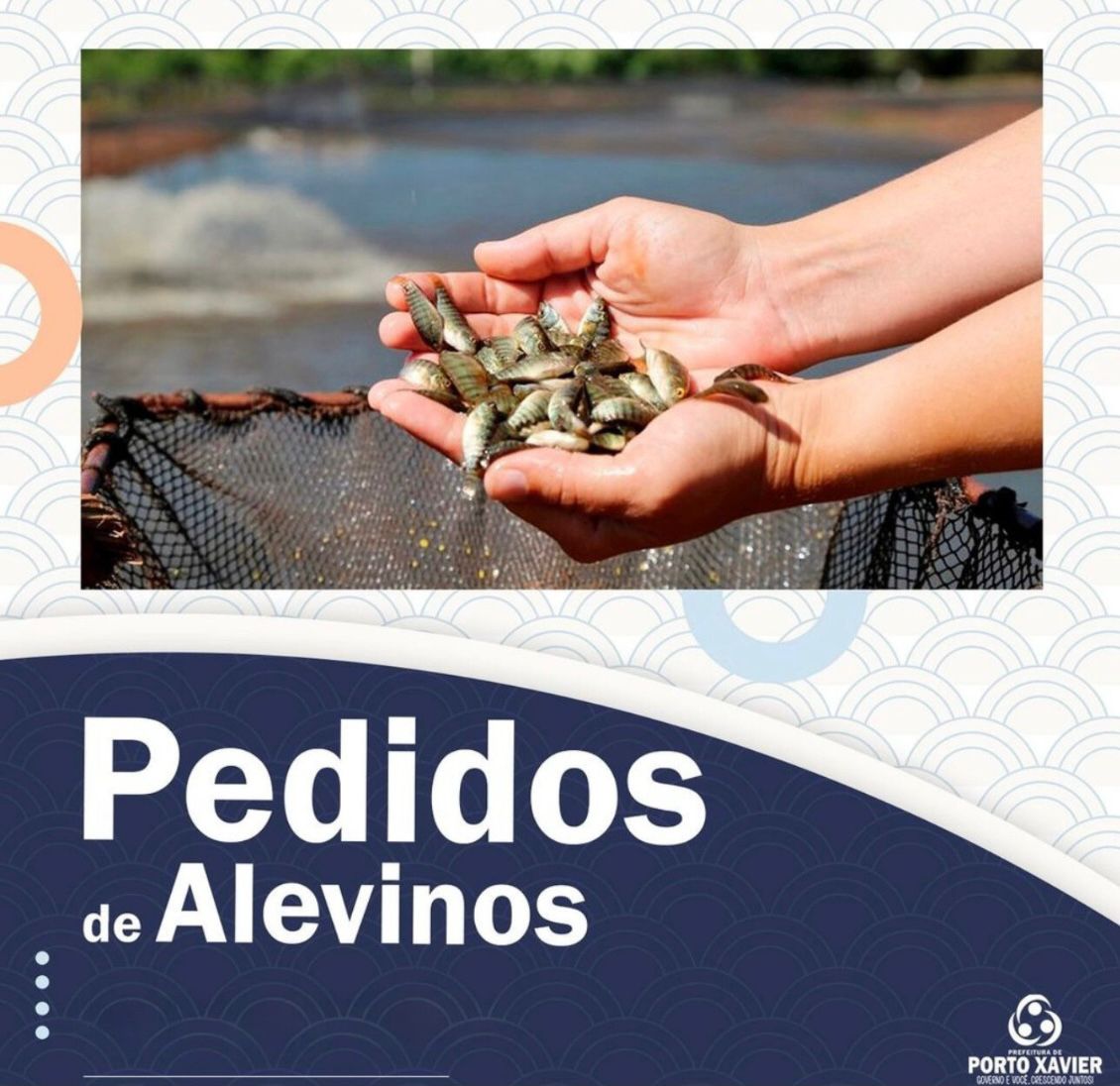<p>ENCOMENDA DE ALEVINOS</p>