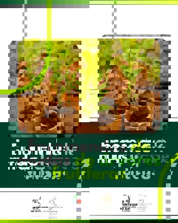 <p>ENCOMENDA DE MUDAS DE &Aacute;RVORES FRUT&Iacute;FERAS 🌳</p>