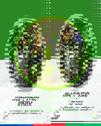 <p>MUDAS DE &Aacute;RVORES FRUT&Iacute;FERAS J&Aacute; PODEM SER RETIRADAS</p>