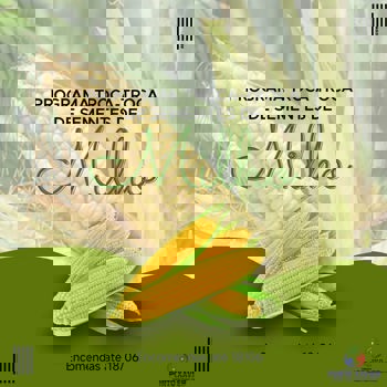 <p>ATEN&Ccedil;&Atilde;O AGRICULTORES DE PORTO XAVIER</p>