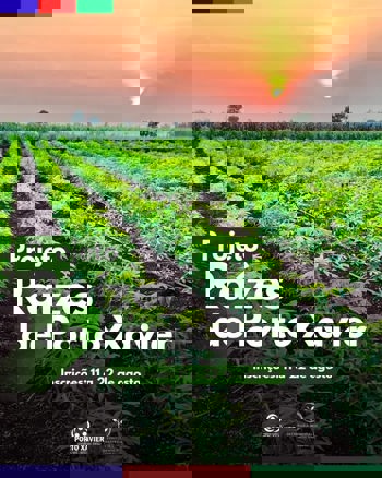 <p>PROJETO RA&Iacute;ZES DE PORTO XAVIER &ndash; CULTIVO SUSTENT&Aacute;VEL DE MANDIOCA</p>