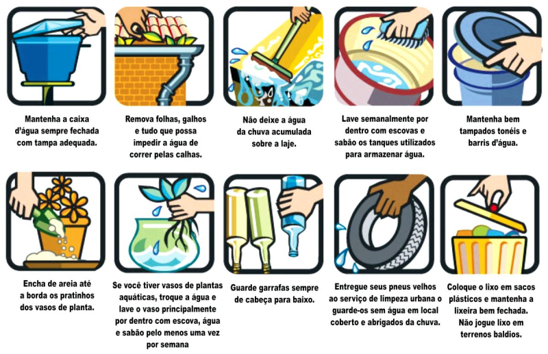 Alerta municipal: é preciso combater o Aedes Aegypti