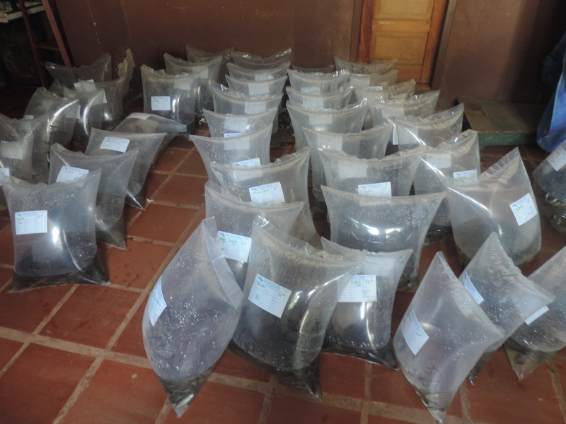 Comunicado da Secretaria de Agricultura