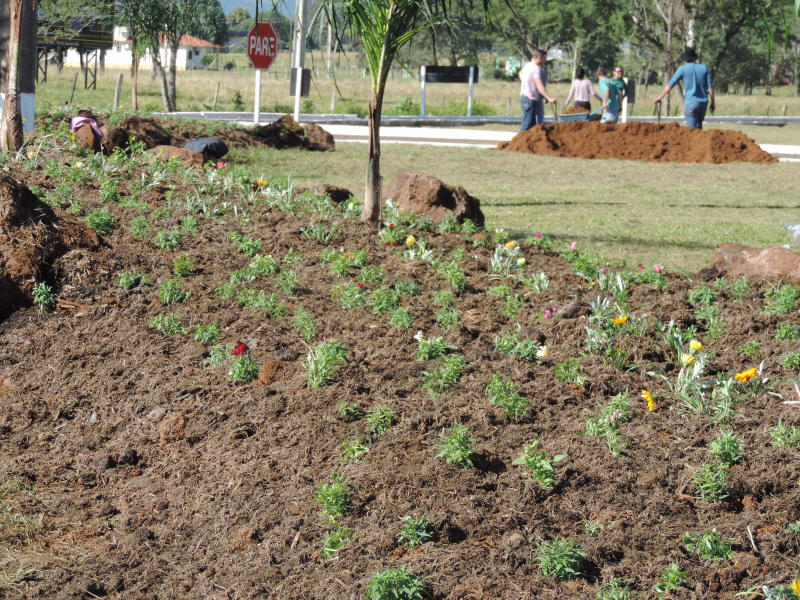 Administração trabalha no embelezamento do trevo de acesso á cidade