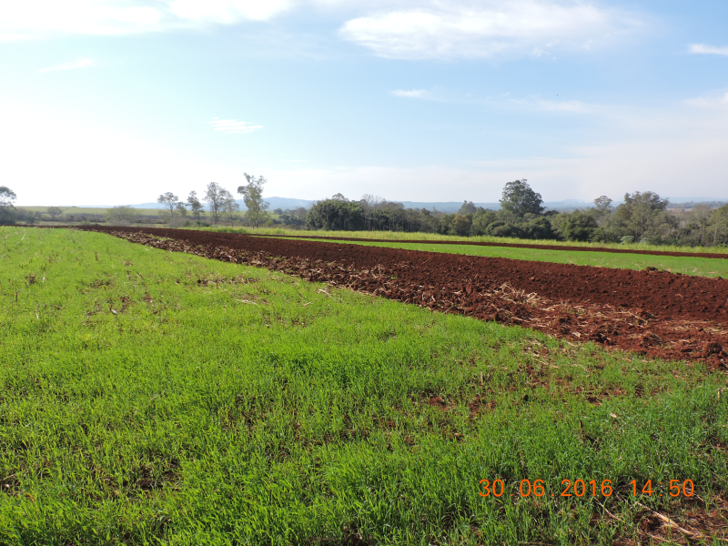 Secretaria da Agricultura desenvolve ações para conservação do solo