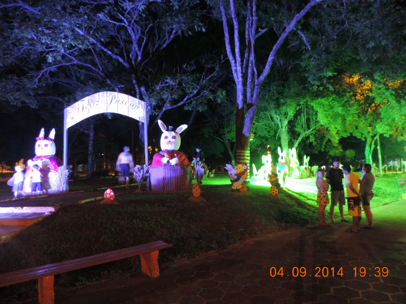 Coelhos fazem a alegria da criançada