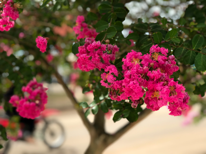 Prefeitura convida munícipes a postarem fotos da cidade em suas redes sociais. 