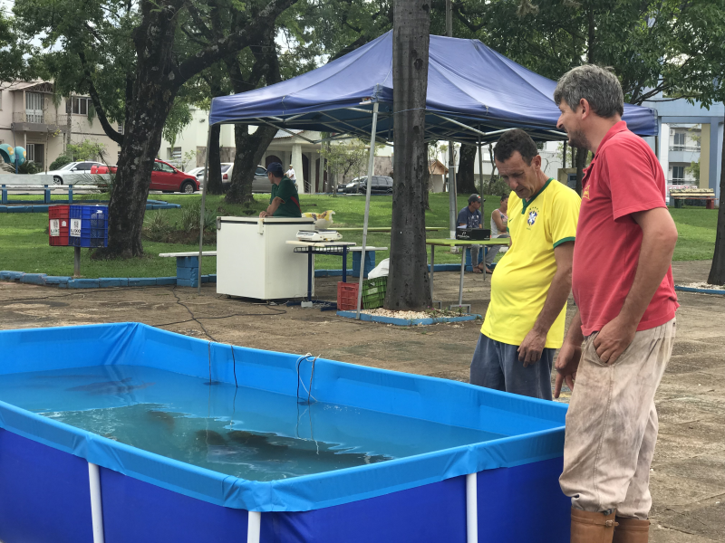 Prefeitura promove “Feira do Peixe” e de “Produtos Coloniais”.