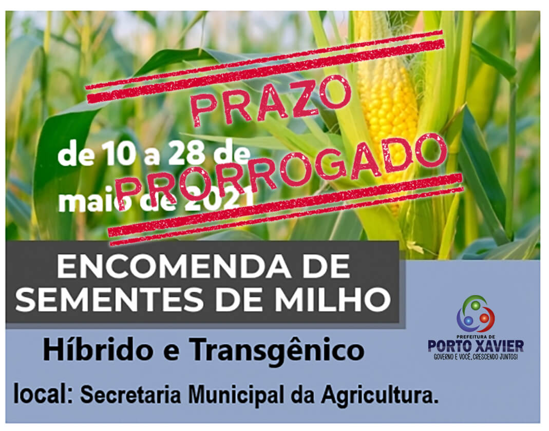 PRORROGADO O PRAZO PARA ENCOMENDA DE SEMENTES DE MILHO SAFRA 2021-2022