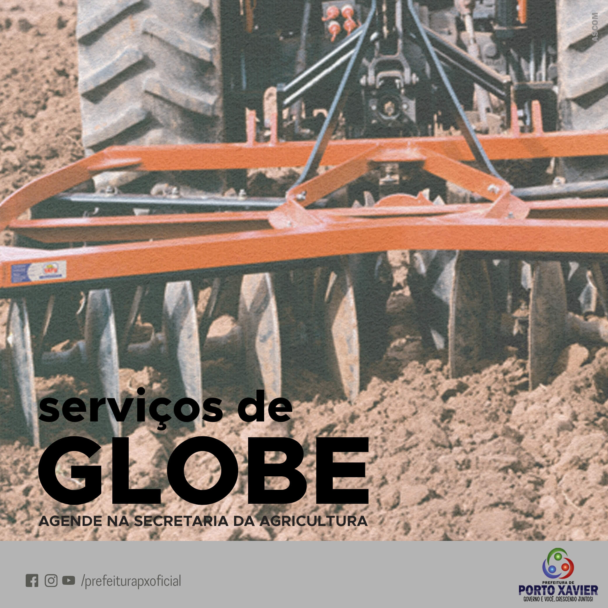 SERVIÇOS DE GLOBE