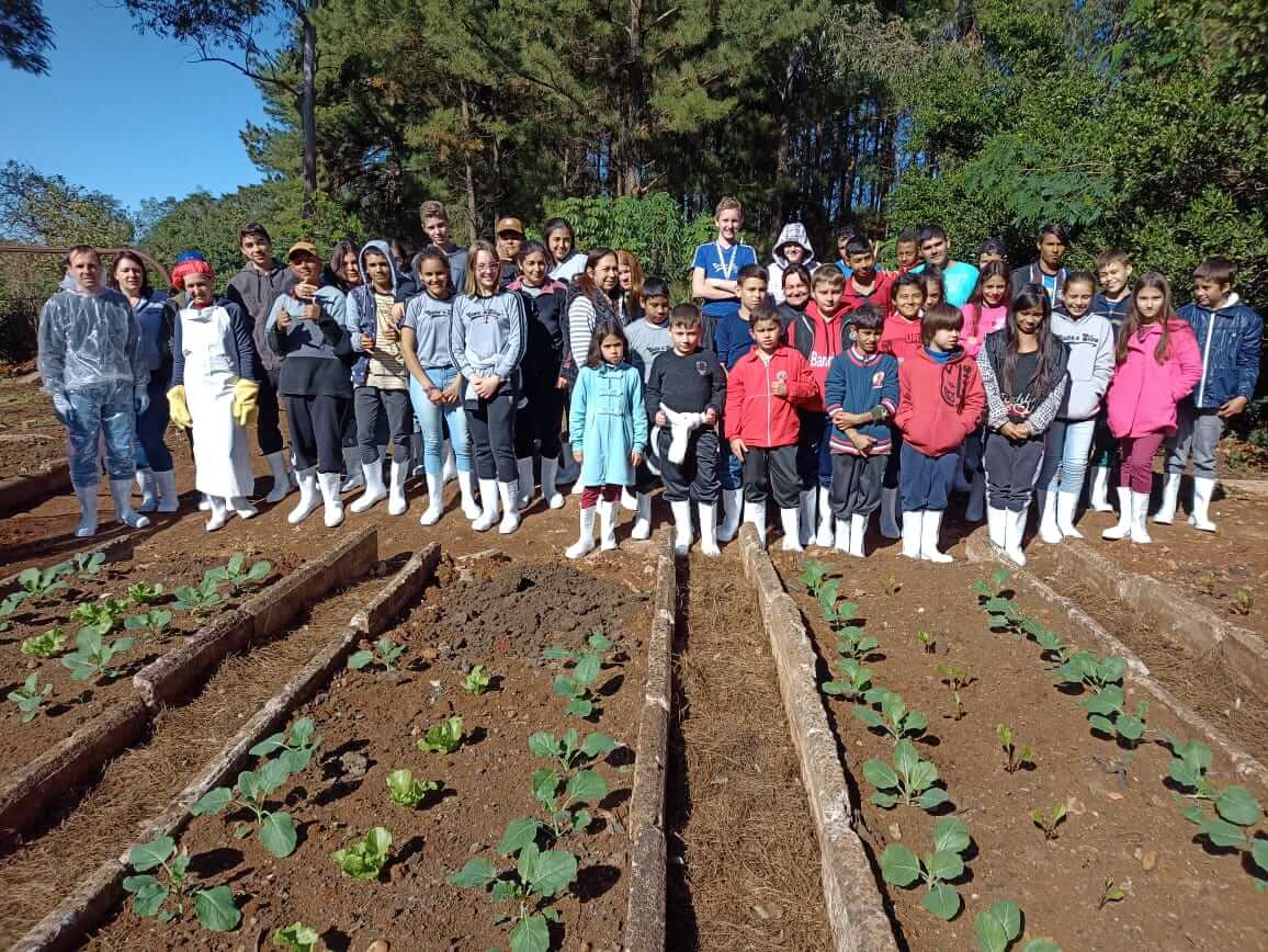 PROJETO SEMEANDO O FUTURO JÁ APRESENTA COLHEITAS DE VERDURAS E LEGUMES