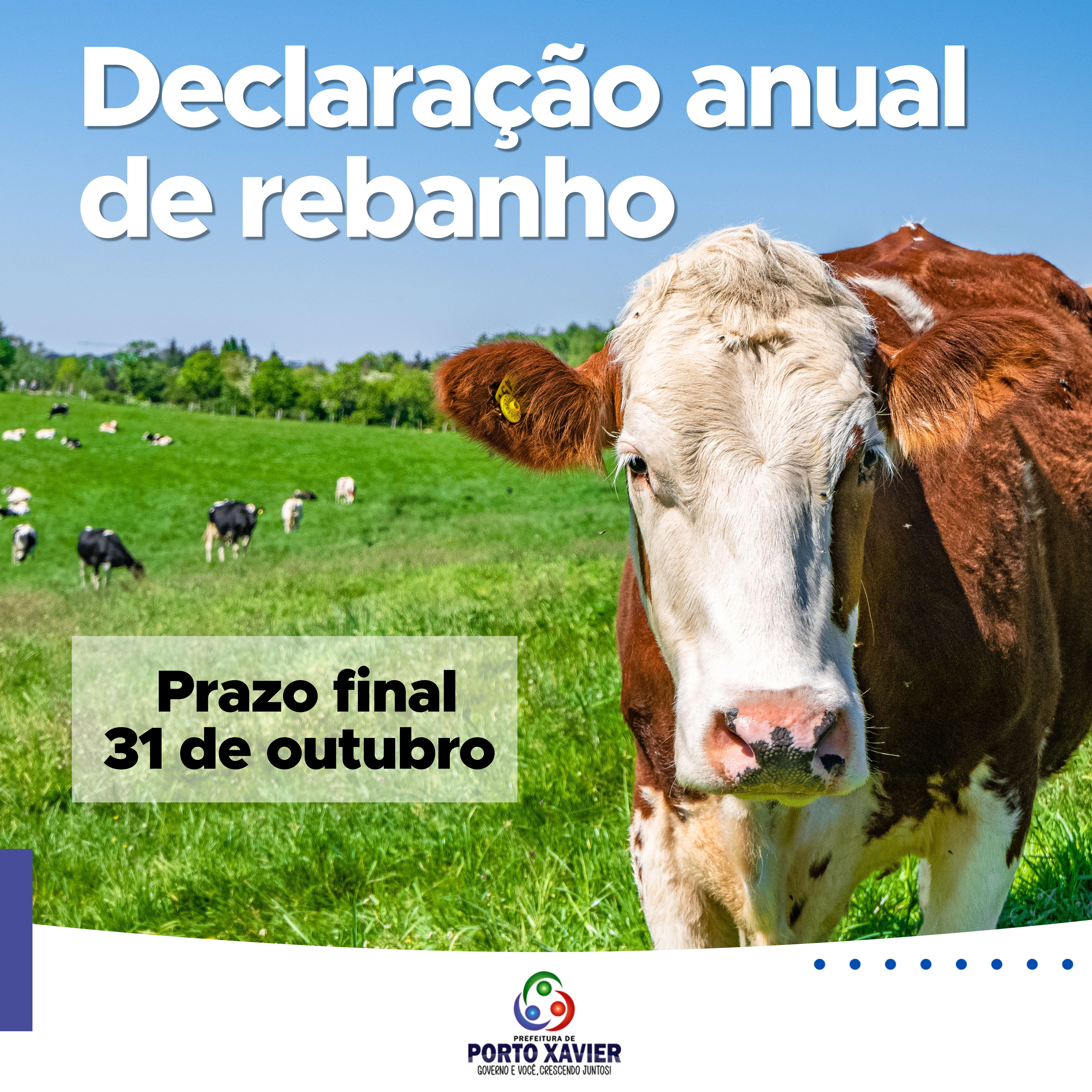 DECLARAÇÃO ANUAL DE REBANHO