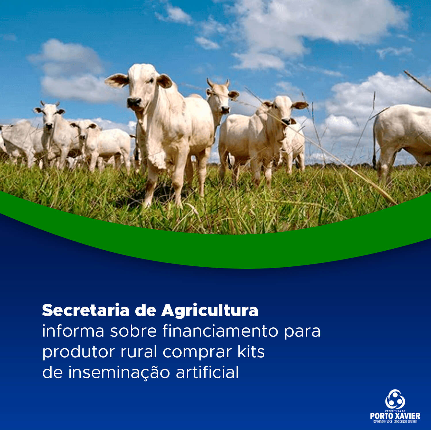 SECRETARIA DE AGRICULTURA INFORMA SOBRE INSCRIÇÕES PARA FINANCIAMENTO DE KITS DE INSEMINAÇÃO ARTIFICIAL