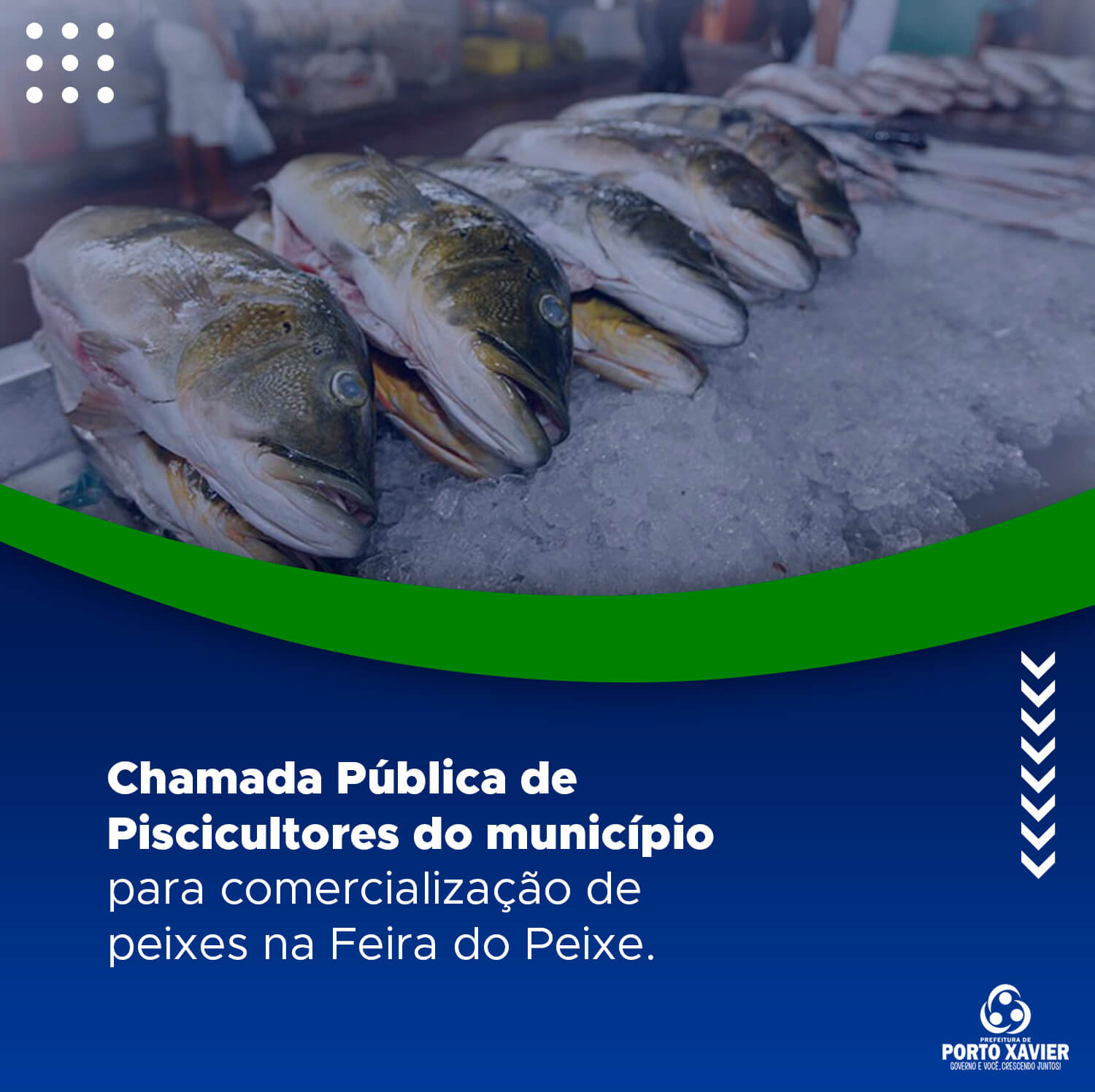 CHAMADA PÚBLICA AOS PRODUTORES DE PEIXE DO MUNICÍPIO