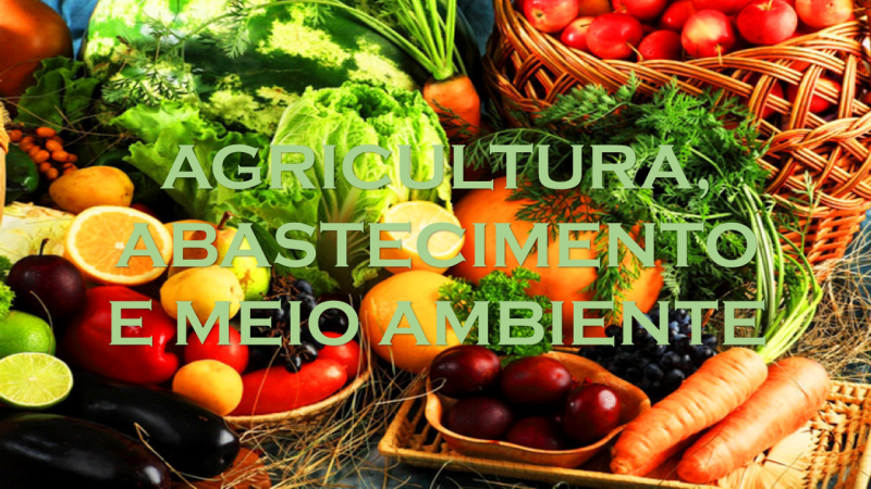 SECRETARIA MUNICIPAL DE AGRICULTURA, ABASTECIMENTO E MEIO AMBIENTE