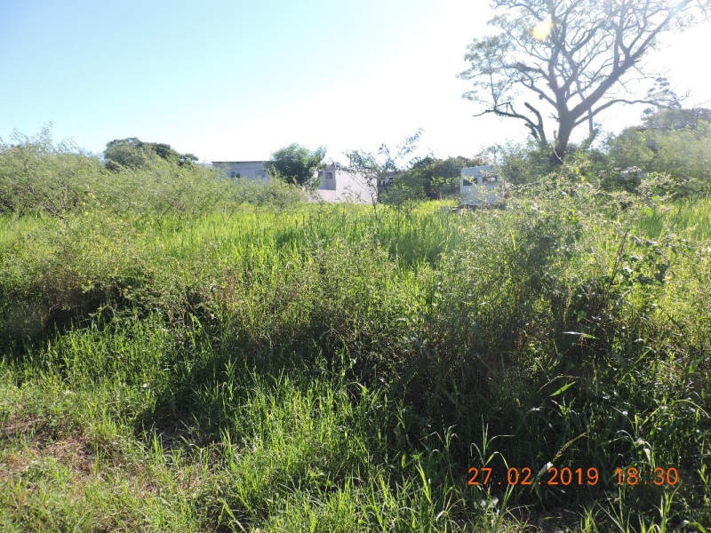 LIMPEZA DE TERRENOS BALDIOS