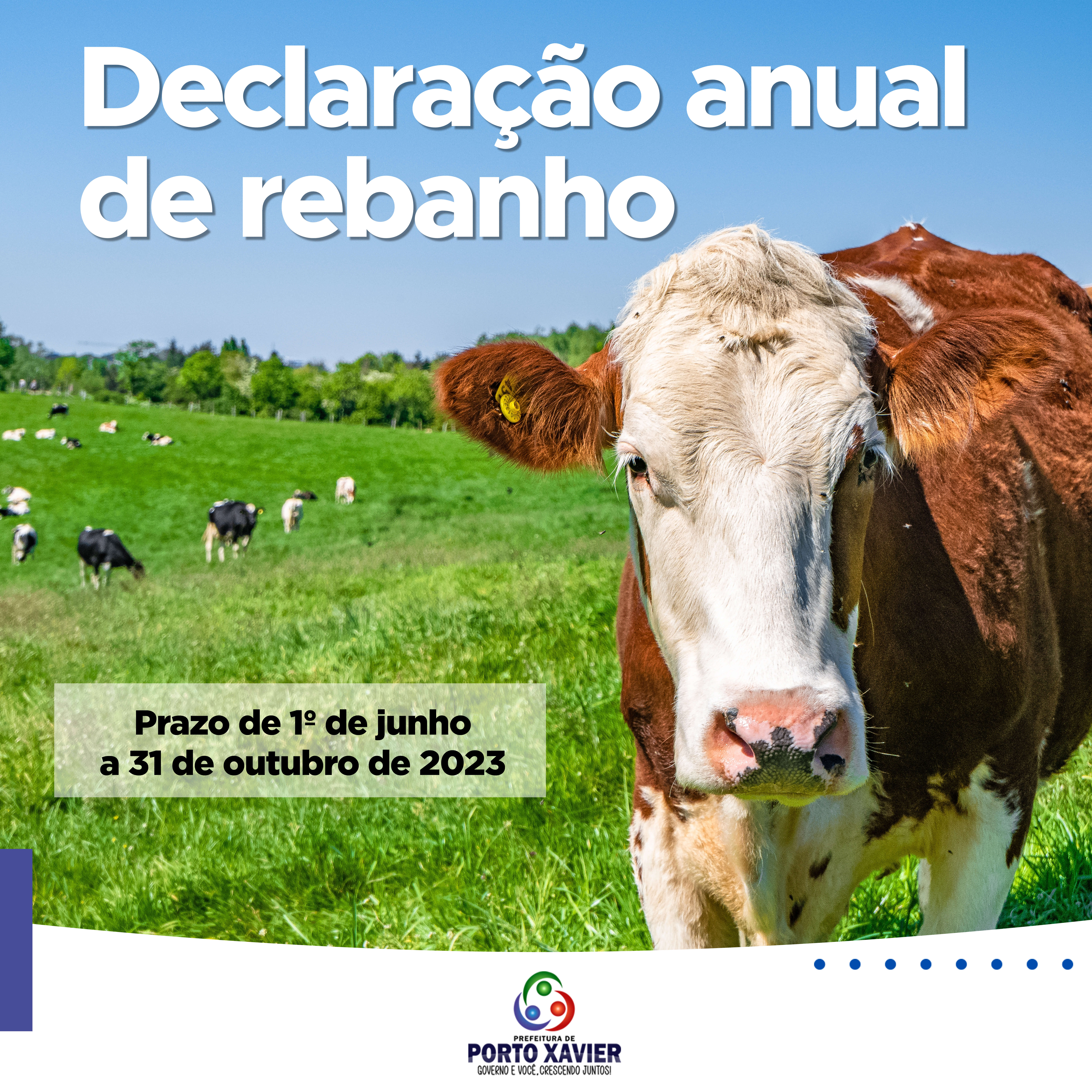 DECLARAÇÃO ANUAL DE REBANHO DEVE SER REALIZADA ATÉ 31 DE OUTUBRO