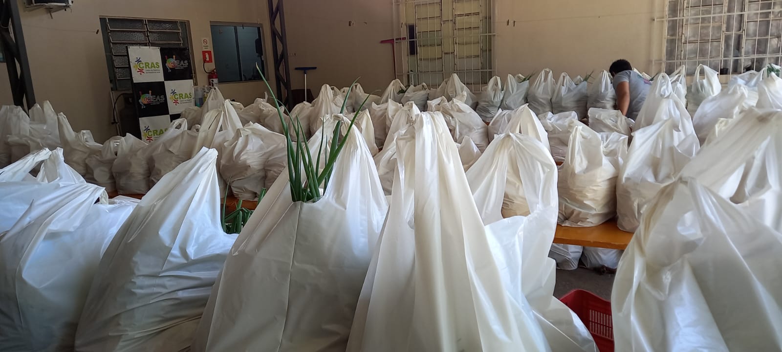 PROGRAMA DE AQUISIÇÃO DE ALIMENTOS FORTALECE A AGRICULTURA FAMILIAR EM PORTO XAVIER