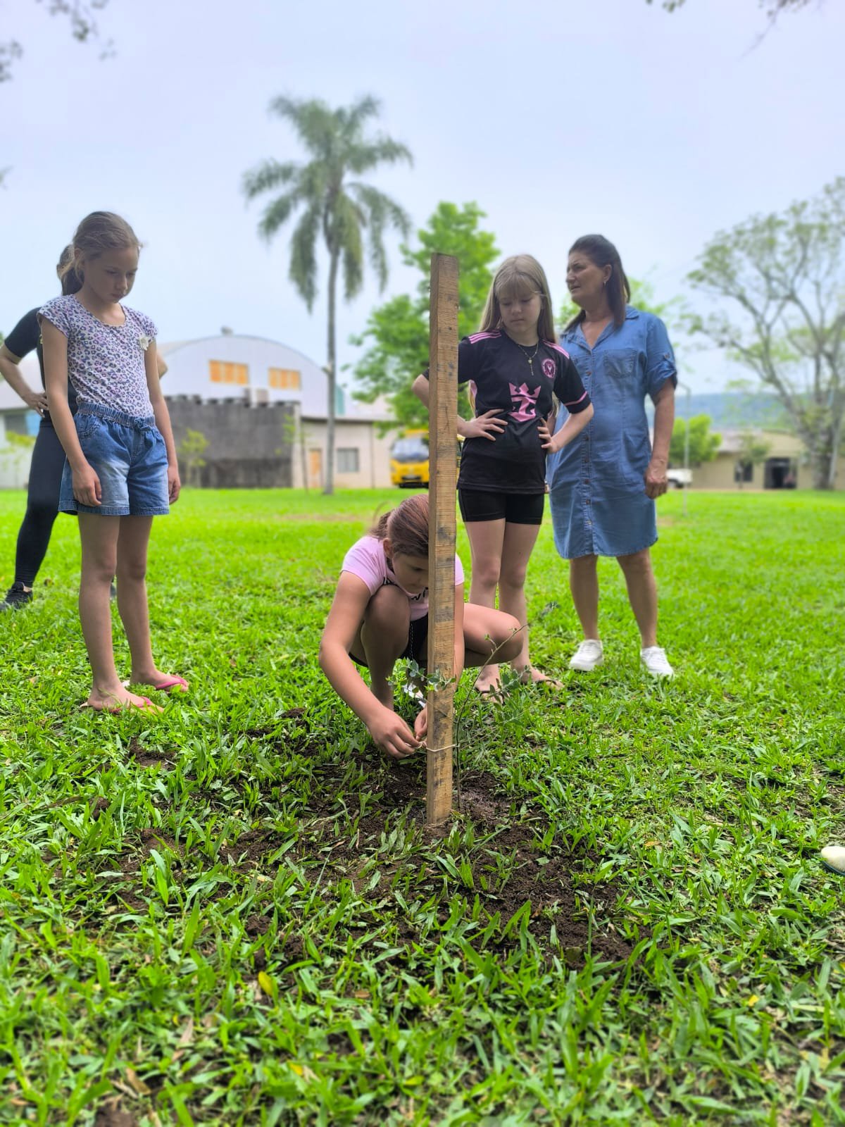 ALUNOS PLANTAM O FUTURO NA SEMANA DA ÁRVORE