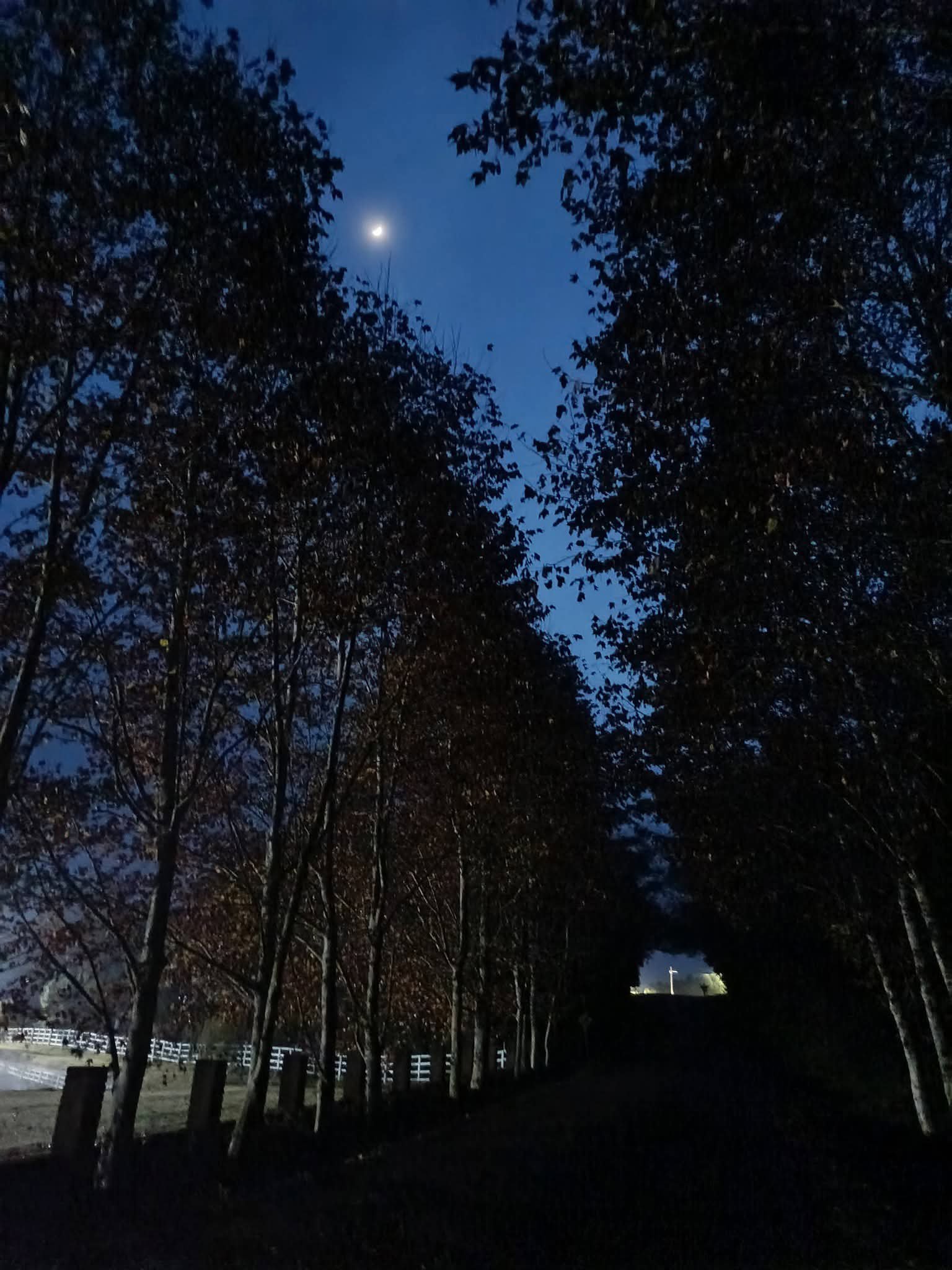 PAISAGENS DE SÃO PAULO DAS MISSÕES