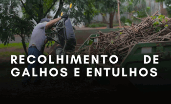 <p><strong><span style="font-size: 12pt;">RECOLHIMENTO DE GALHOS E ENTULHOS</span></strong></p>