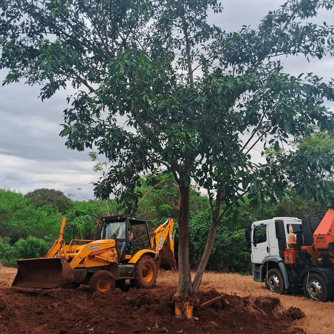 <p>OBRAS DO NOVO COMPLEXO ESPORTIVO E CULTURAL INICIARAM HOJE</p>
